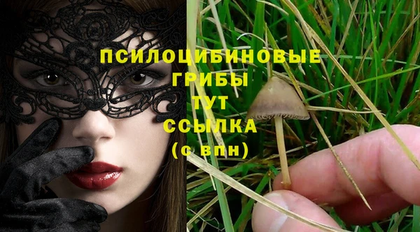 ALPHA PVP Новодвинск