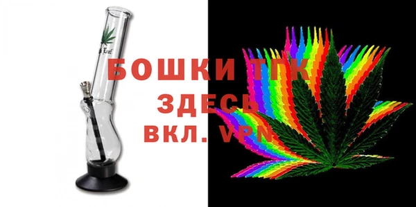 прущий лед Новозыбков