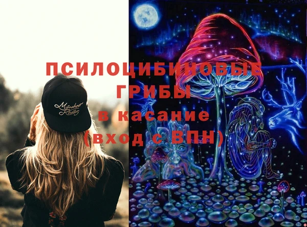 прущий лед Новозыбков