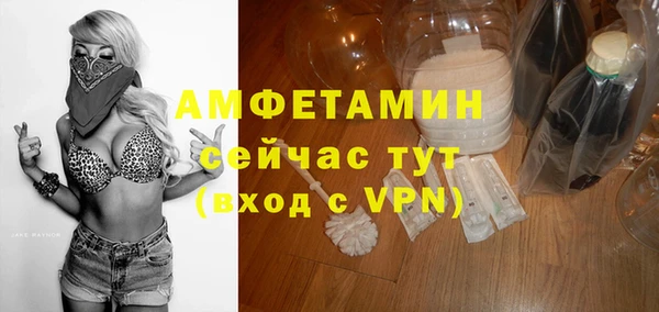 прущий лед Новозыбков