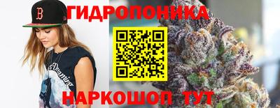 a pvp Абакан