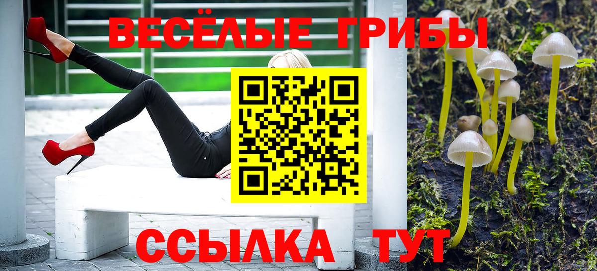 Марихуана  A-PVP СОЛЬ   Алексин  МЕФ   Гашиш  COCAIN  Вход с VPN 