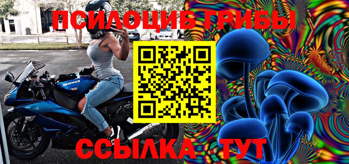 Алексин  Псилоцибиновые грибы MAGIC MUSHROOMS  Вход с VPN 