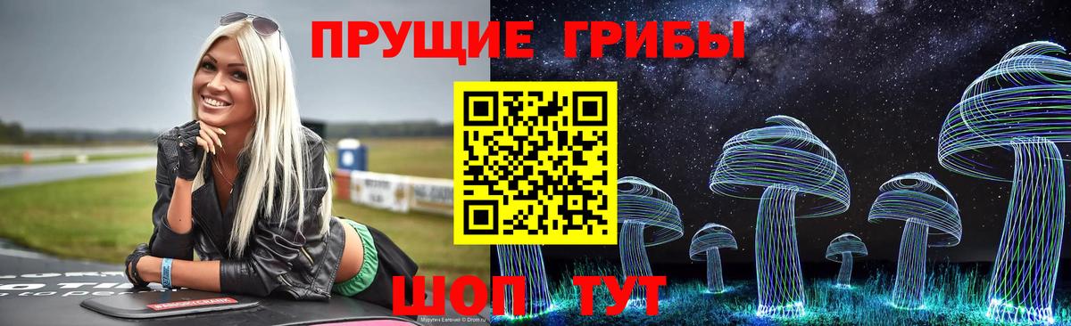 Псилоцибиновые грибы Psilocybe Алексин